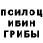 Галлюциногенные грибы Psilocybine cubensis Mirodil Abdullaev