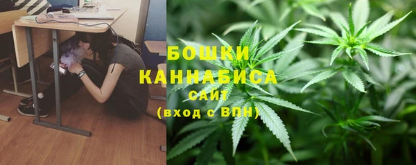 индика Беломорск