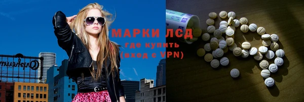 индика Беломорск