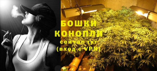 индика Беломорск