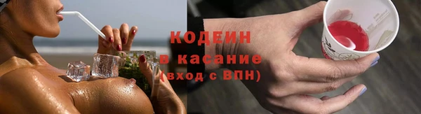 индика Беломорск