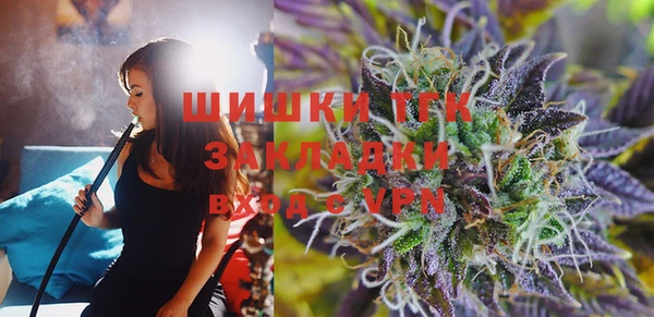 индика Беломорск