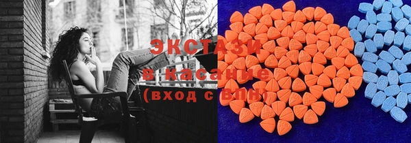 индика Беломорск