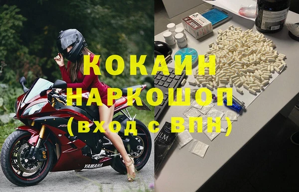 бошки Белокуриха