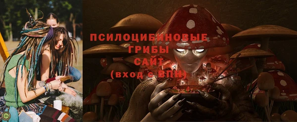 индика Беломорск