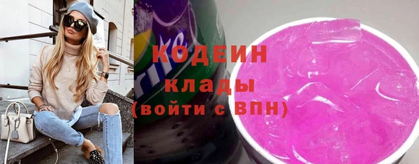 индика Беломорск