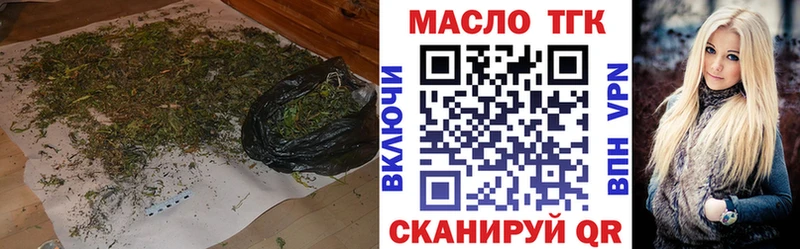 omg сайт  Елизово  ТГК жижа 